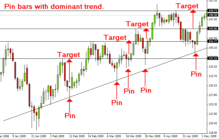 forex training krasnoyarsk